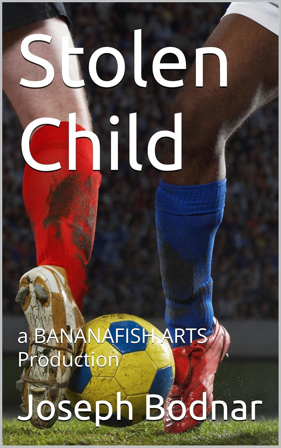 Cover of Stolen Child by Joseph Bodnar